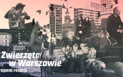 Wystawa „Zwierzęta w Warszawie. Tropem relacji”