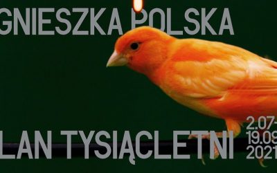 Plan Tysiącletni | Agnieszka Polska