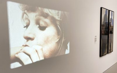 Wystawa niestała w MSN